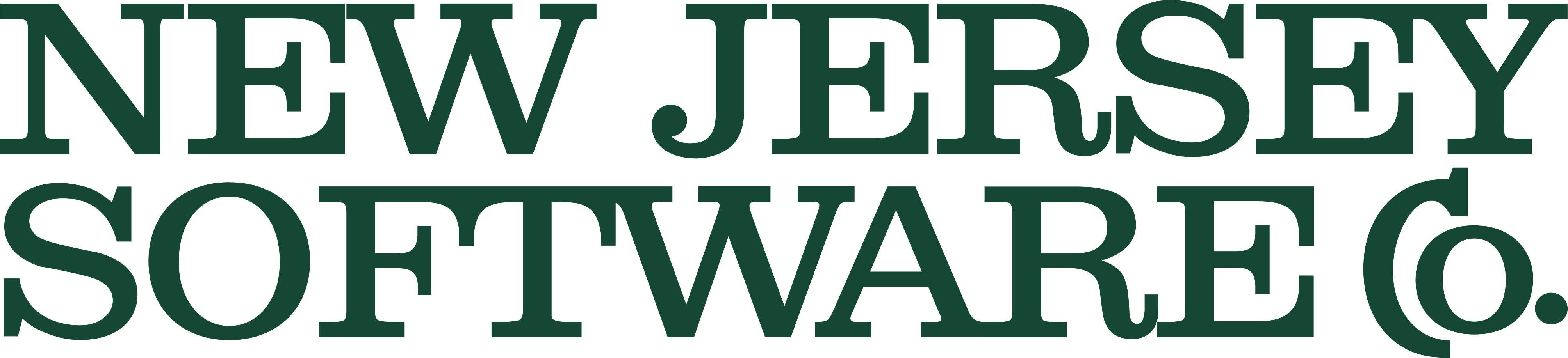 New Jersey Software Co.
